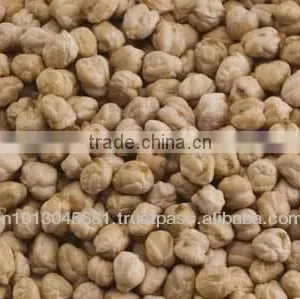 Chana thumbnail-1