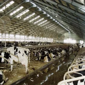 Portal Steel Structure Breeding Shed thumbnail-5