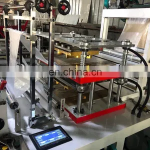 Two Layers pe Gloves Manufacturing Machinery thumbnail-2