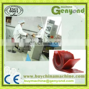 Shanghai Complete Fruit Leather Processing Machines thumbnail-3
