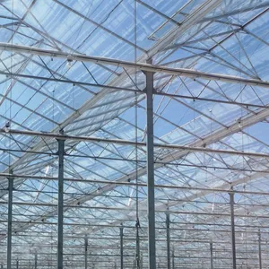 4mm Tempered Low Iron Glass for Sun Room and Green House thumbnail-1