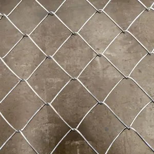 Longen Welded Edge Knitted Wire Mesh Conveyor Belt Stainless Steel Heat Resistant Corrosion Resistant CE Certified Customizable thumbnail-2
