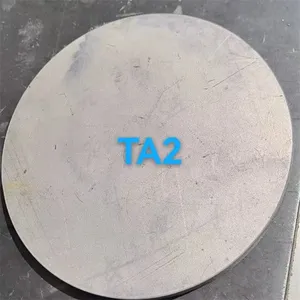 High-Strength Titanium Alloy Plate Ta2 With Lightweight Corrosion Resistance for Industrial Equipment thumbnail-2