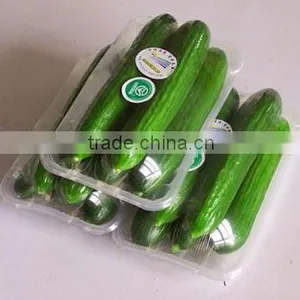 Vegetables Heat Shrink Packaging Wrapping Machine With Delta System thumbnail-3