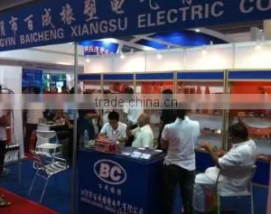Jiangyin Baicheng Plastic Electric Co., Ltd. company overview - view 3 thumbnail