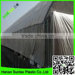 5 Years Use Time Greenhouse Film,uv Treated Plastic Film Greenhouse,agriculture Polyethylene Film thumbnail-5
