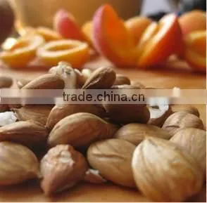 Apricot Seed Oil thumbnail-2