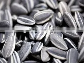 2015 Price of Grey Sunflower Seeds thumbnail-1
