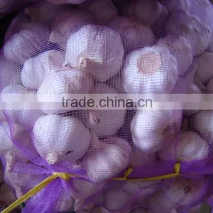 Fresh Garlic thumbnail-5