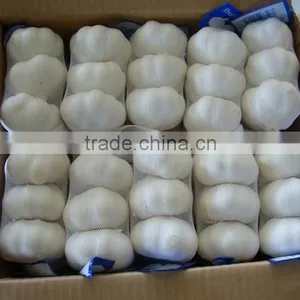 2016 Pure White Garlic 3P/4P/5P/ in 10kg Carton thumbnail-2