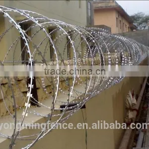Barb Wire and Razor Wire thumbnail-5