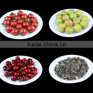 Hot Selling 8 Inch 9inch 7inch White Round Disposable Paper Plate for Birthday Cakes and Christmas Party thumbnail-1