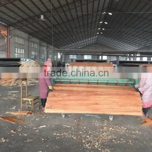 0.3mm Face Advanced Wood Log Machine for Thin Veneer Machine/spindle Log Peeler thumbnail-3