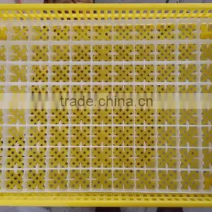 Zhenghang Egg Incubator Manufacturer 440 Eggs Setter&hatcher Combined Egg Incubator Machine(skype: Zh-lydia) thumbnail-3