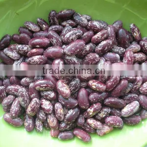 Common Cultivation Purple Speckled Kidney Beans thumbnail-1