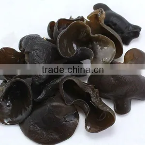 IQF Frozen Black Fungus Ear Mushroom thumbnail-5
