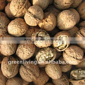 Good Quality Walnut With China Price thumbnail-1