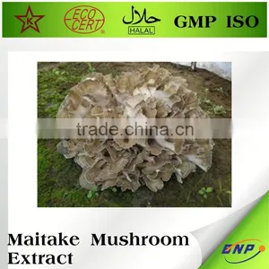 Signorina Mushroom Maitake Extract Powder thumbnail-1