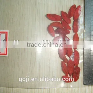 380~280 SIZE STOCK---GOJI (2015) thumbnail-1