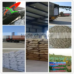 Inner Monglia Sunflower Seed Kernels (bakery) thumbnail-2