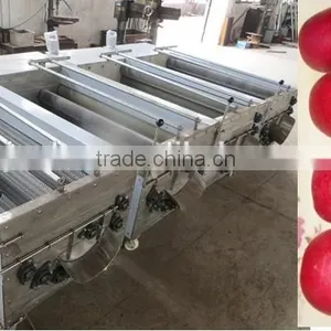 Stainless Steel Vegetable and Fruit Washing Machine thumbnail-2