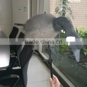 Wholesale Canada Goose Decoy for Hunting, Garden Decorative Goose Mold thumbnail-6