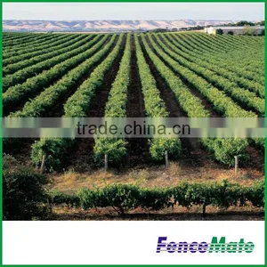 Hot Sale Vineyard Trellis thumbnail-3
