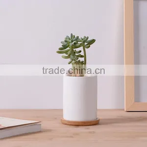 Indoor Small White Glazed Ceramic Teacup Planter Pot With Bamboo Tray thumbnail-1