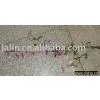 Dried Flower thumbnail-1
