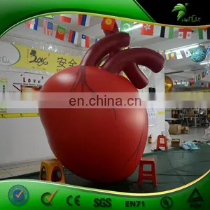 Large Inflatable Heart Organ Replica Balloon Artificial Custom Organ Model Inflatables PVC Advertising Toys Ball thumbnail-1