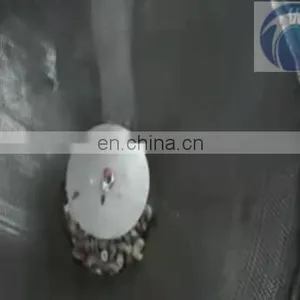 High Quality Cashew Nuts Peeler Machine thumbnail-1