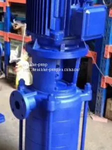 LG Vertical Multistage Feeding Water Pump for High-rise Building thumbnail-3