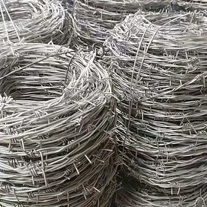 Barbed Wire thumbnail-1