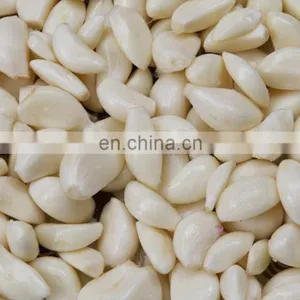 Garlic Ginger Peeling Machine/ Garlic Peeler /garlic Peeling thumbnail-3