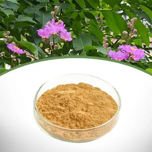 Banaba Extract thumbnail-1