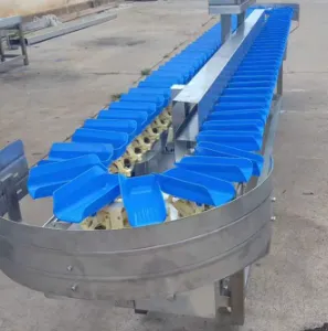 Professional Seafood Weight Sorting Machine Fish,shrimp,Oysters,Prawns,Scallops,Squid Weight Selecting Machine thumbnail-5