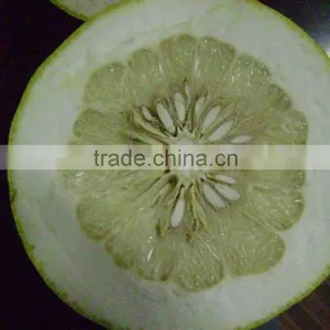 China Pomelo Fruit thumbnail-1