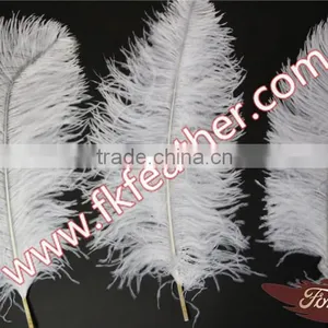 Large White Ostrich Feather Long 50cm-55cm Wedding And Stage Decorations thumbnail-6
