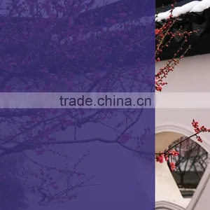 Straw Yellow Color Window Tinting Film, Glass PET Film thumbnail-3