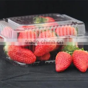 PET Plastic Transparent Boxes for Packing Strawberry thumbnail-2