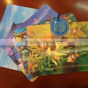 3D Lenticular PP Tablemat of Animal Design thumbnail-1