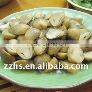 Canned Straw Mushroom Half thumbnail-1