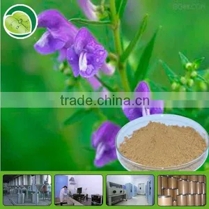 High Quality Astragalus Membranaceus Extract 10%-70% thumbnail-1