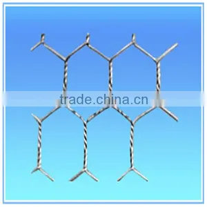 Galvanized and Pvc Hex Wire Mesh for Sale thumbnail-2