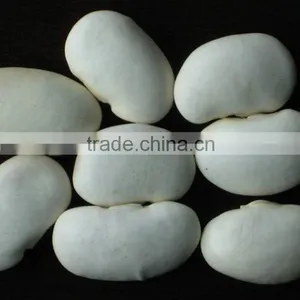 Big Size White Beans White Haricot Beans thumbnail-4