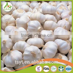 Bulk Pure White Fresh Garlic Price thumbnail-4