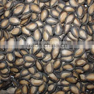 Water Melon Seeds thumbnail-2