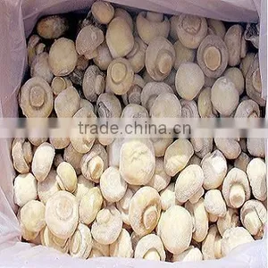 IQF MUSHROOM thumbnail-1