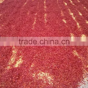 Exporting Specification Red Chili Threads Chilli Elongated thumbnail-1