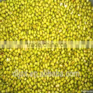 JSX Origin Yellow Mung Bean Price Sprouting Type First Class Mung thumbnail-3